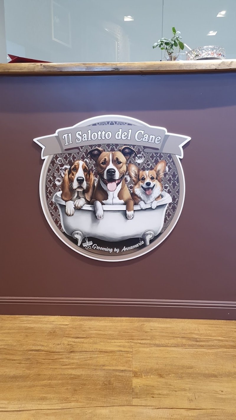 IL SALOTTO DEL CANE di Gottardo Annamaria - Foto 1