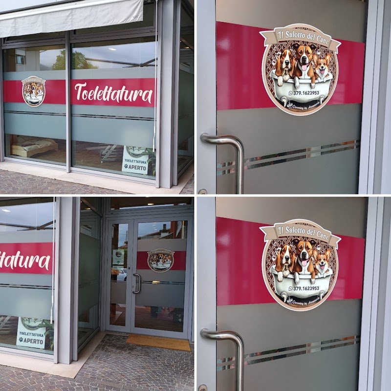 IL SALOTTO DEL CANE di Gottardo Annamaria - Foto 4