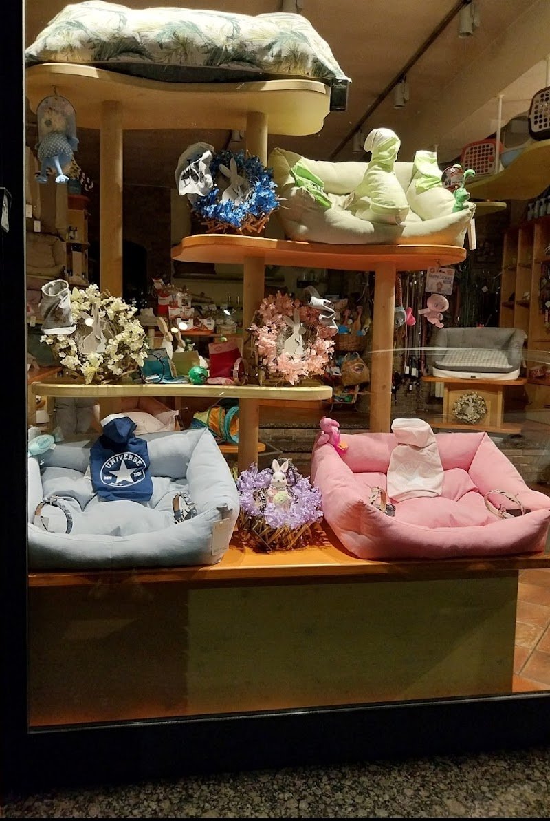 Il Salotto Di Pluto - Foto 1