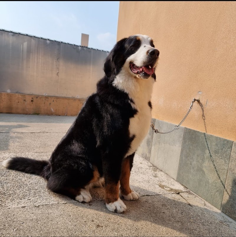 Il Salotto Di Pluto - Foto 2