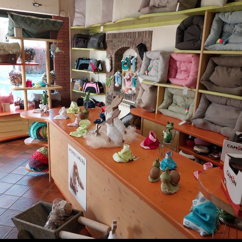 Il Salotto Di Pluto - Foto 3