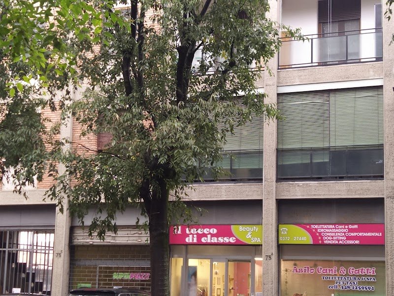 Il Tocco di Classe - Foto 1