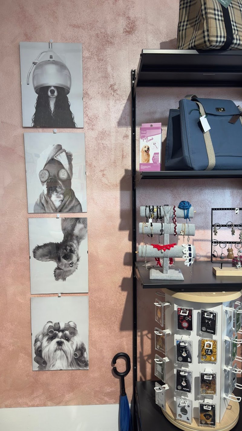 IM dog grooming & spa - Foto 3