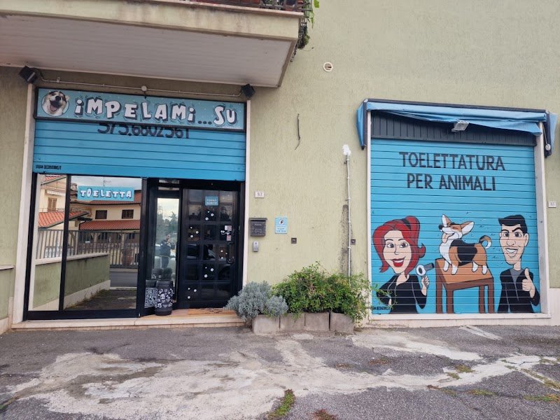 Impelami..su Toelettatura di Silvia e Cristian - Foto 3