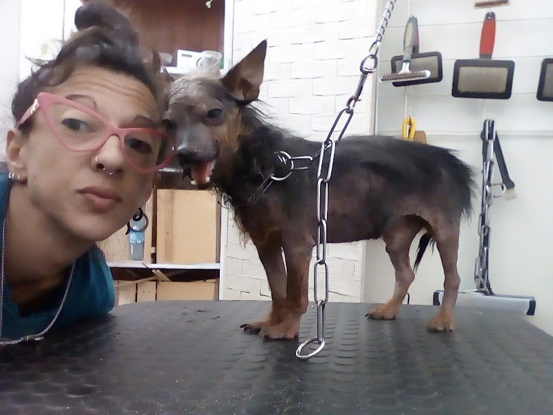 Imperial House di Claudia Conte - Foto 4