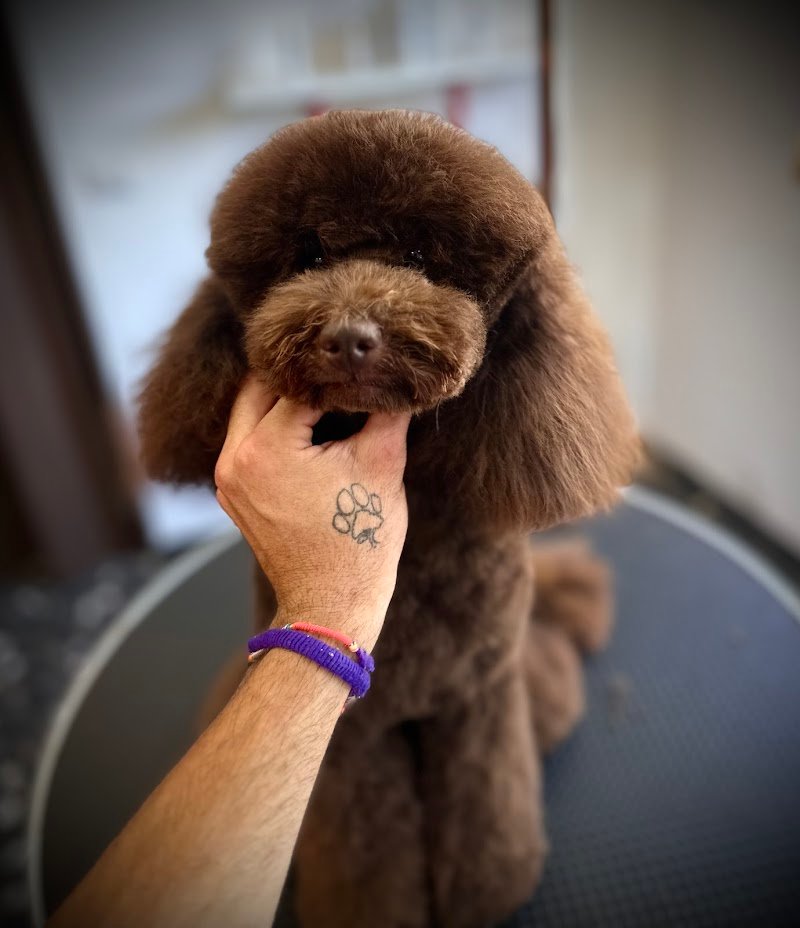 Impronta Naturale - Foto 3