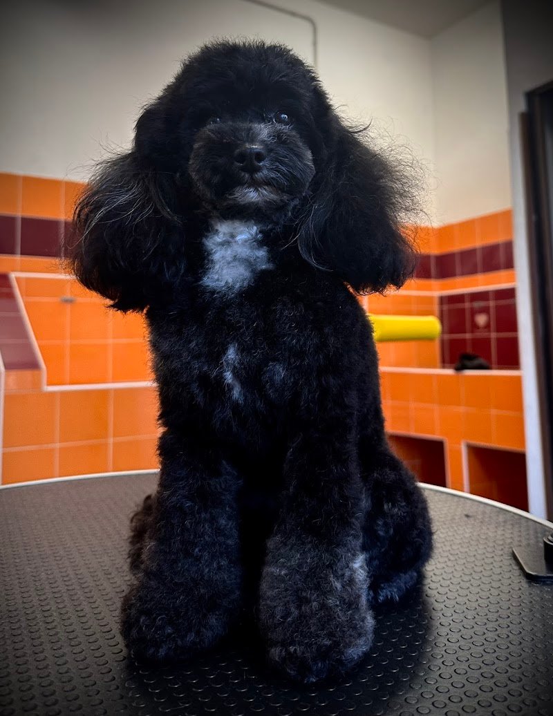 Impronta Naturale - Foto 4