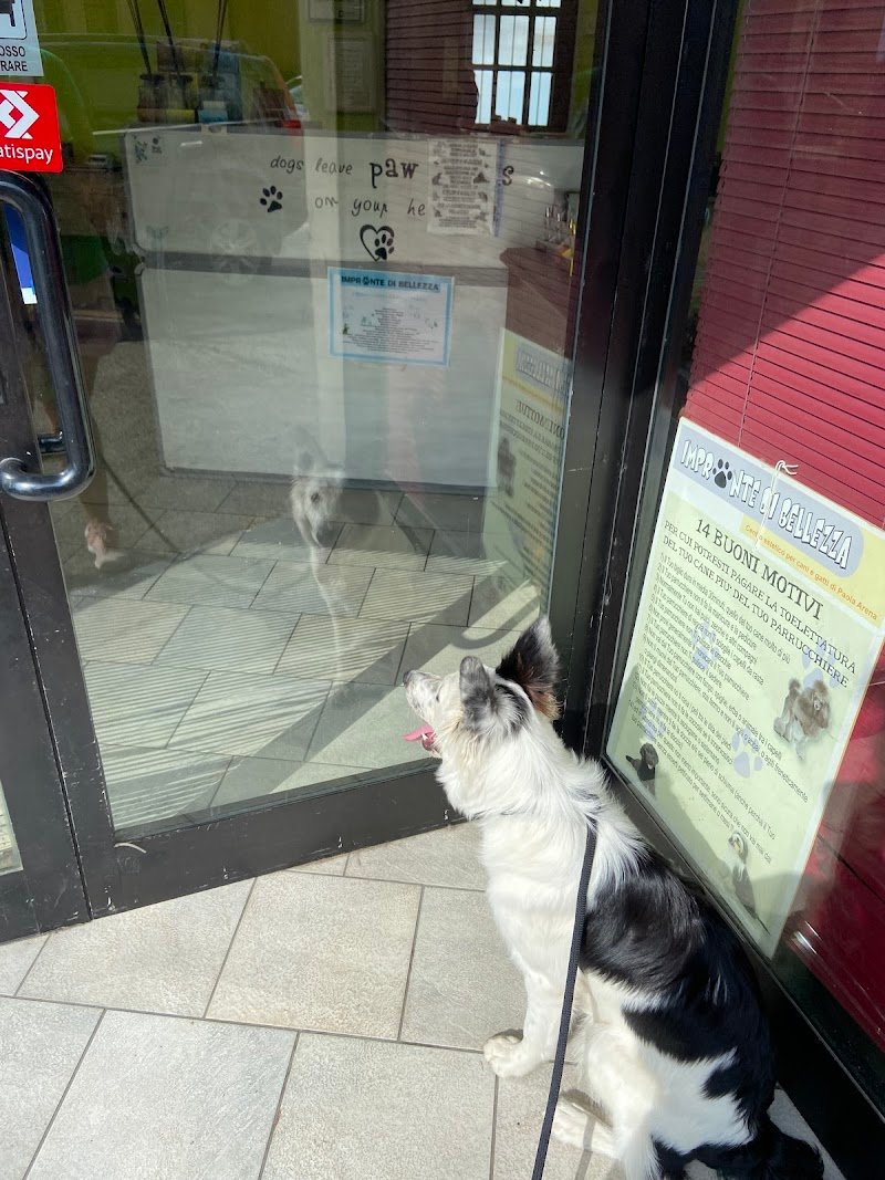 Impronte di bellezza - Foto 1