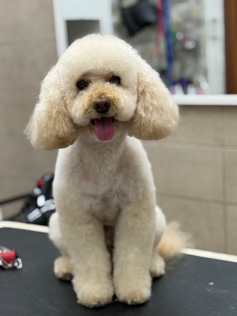 Impronte Di Bellezza - Foto 2