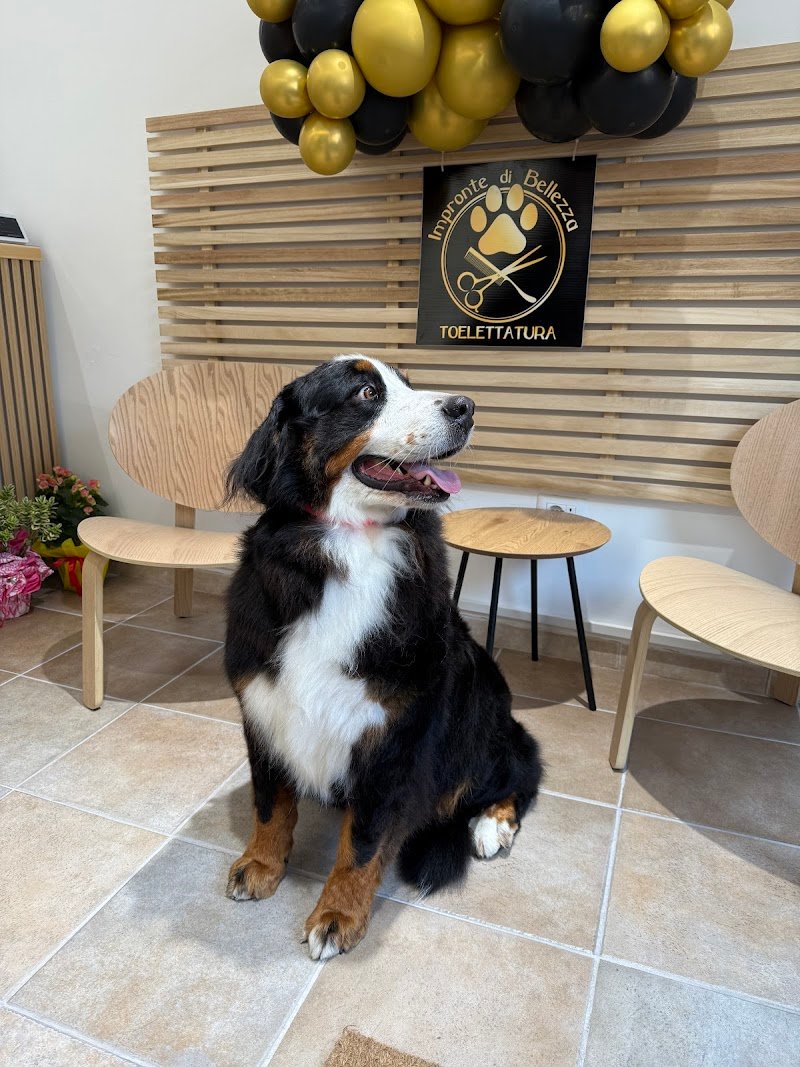 Impronte Di Bellezza - Foto 3