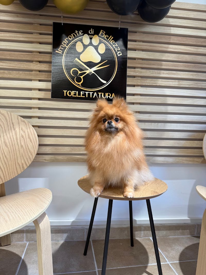 Impronte Di Bellezza - Foto 4