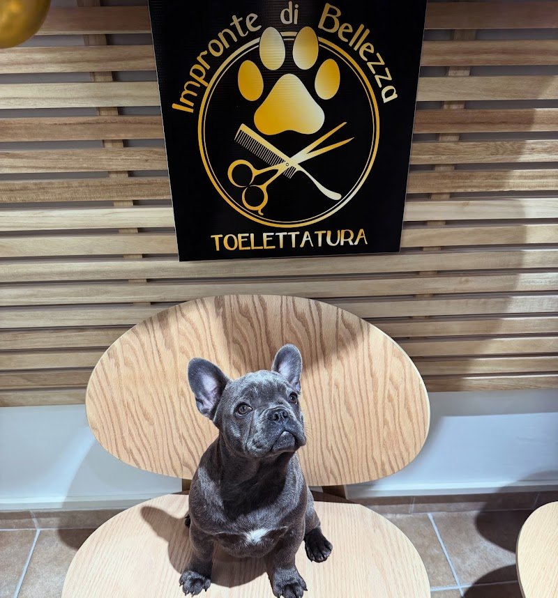 Impronte Di Bellezza - Foto 5