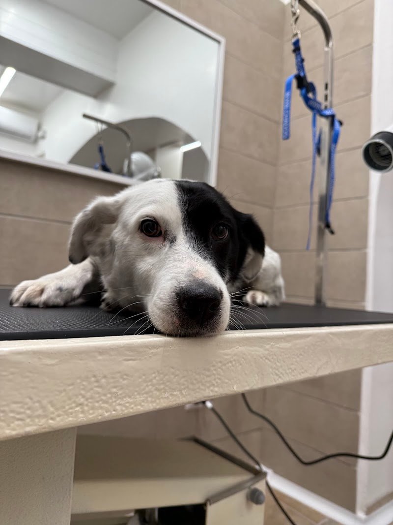 Impronte Di Bellezza - Foto 6