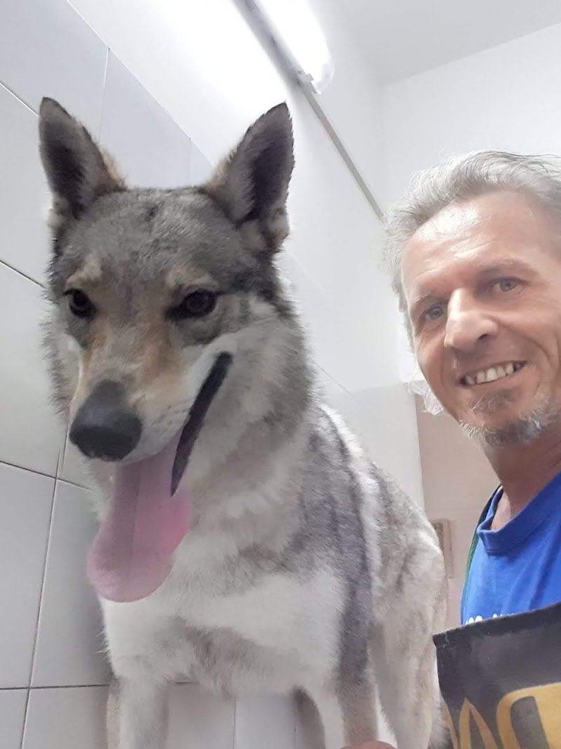 Impronte Di Bellezza Toelettatura - Foto 4