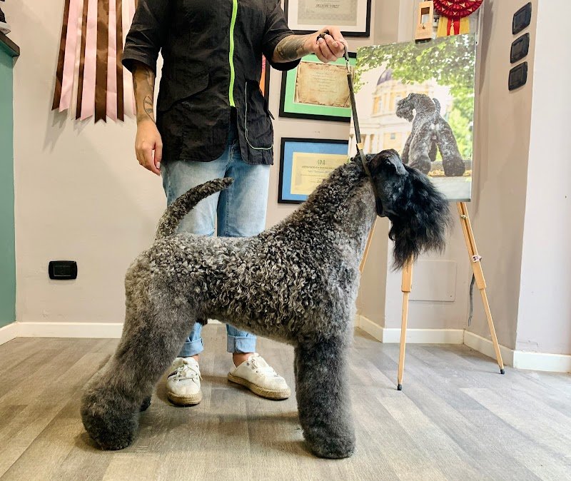 Impronte di Bellezza Toelettatura Torino - Foto 4