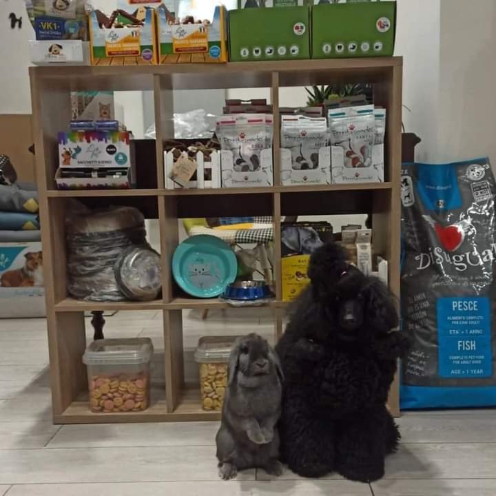 IMPRONTE di Bellezza - Foto 2