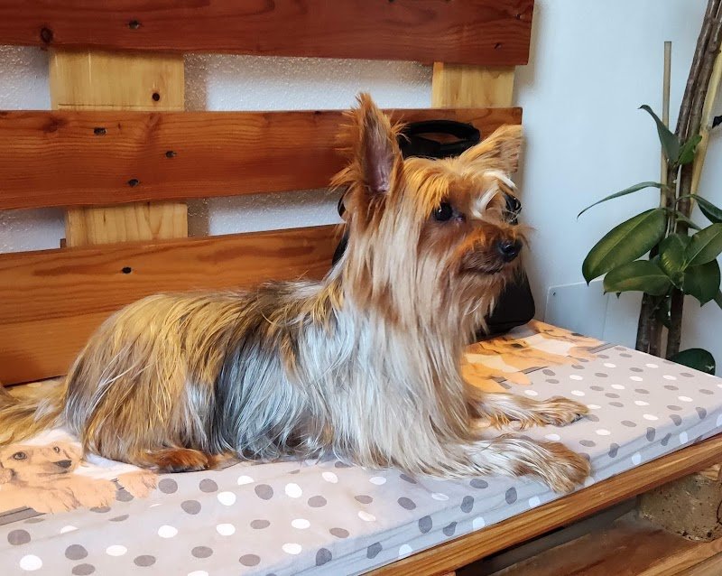 Impronte Naturali - Foto 1