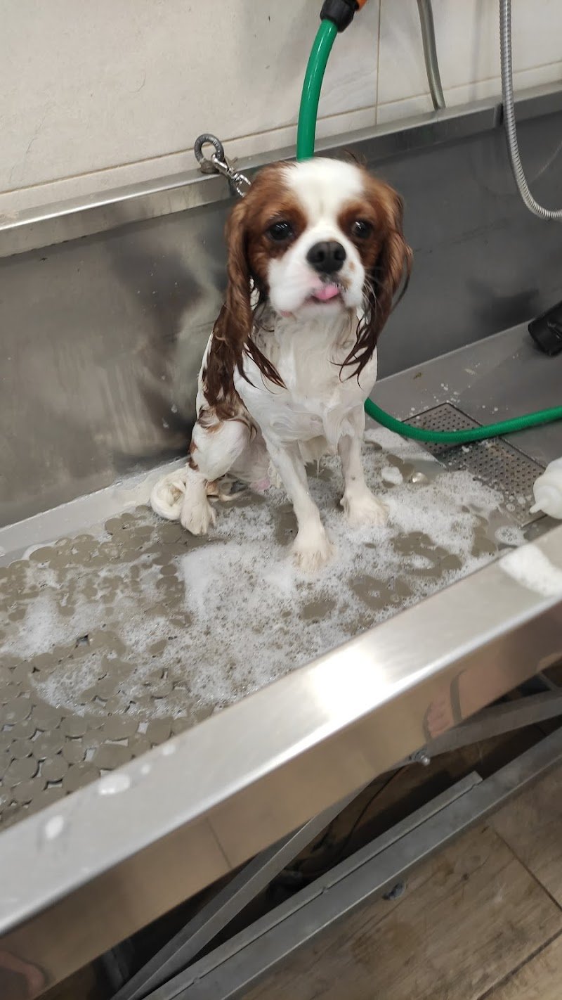 Impronte Naturali - Foto 3