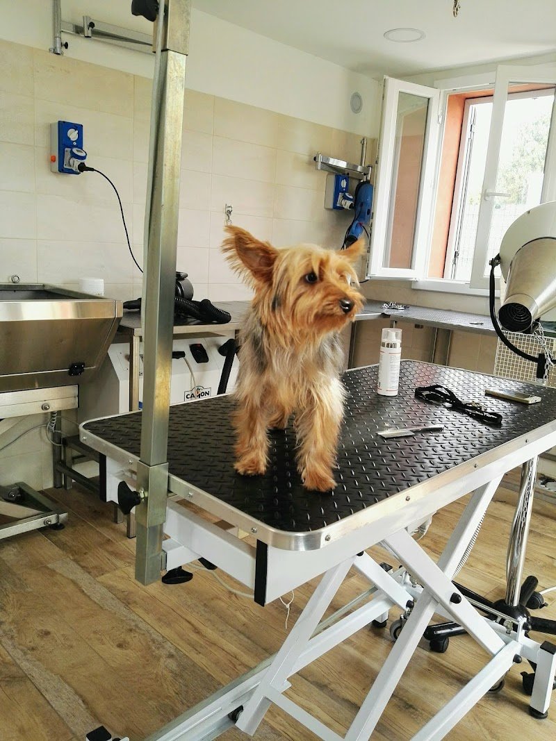 Impronte Naturali - Foto 5