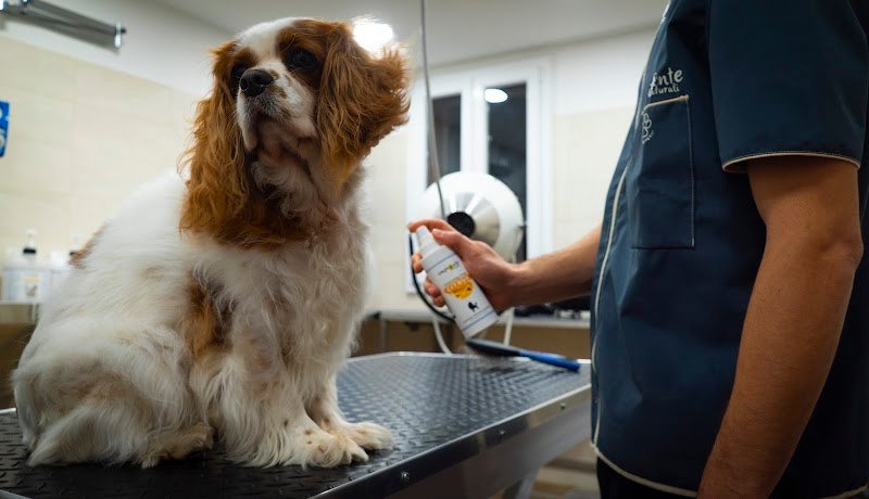 Impronte Naturali - Foto 6