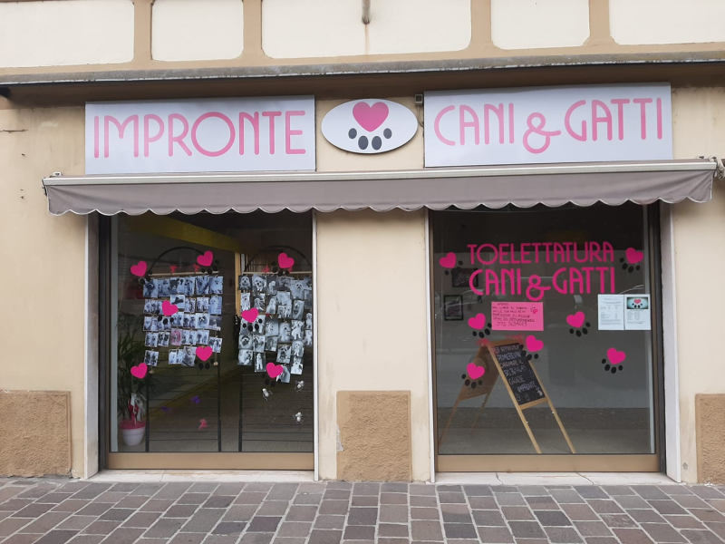 Impronte Toelettatura Cani e Gatti - Foto 4