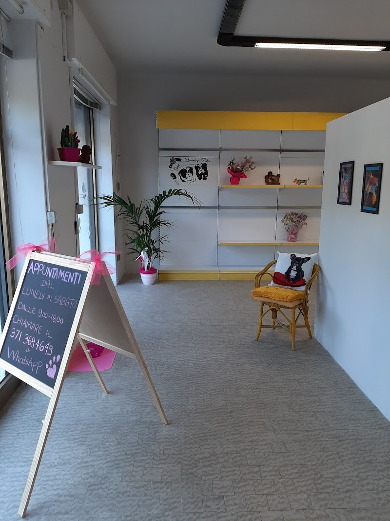 Impronte Toelettatura Cani e Gatti - Foto 6