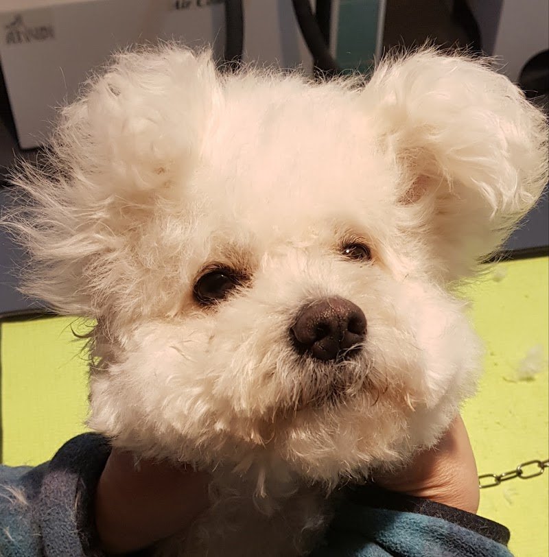 Impronte Toilette SNC - Foto 2