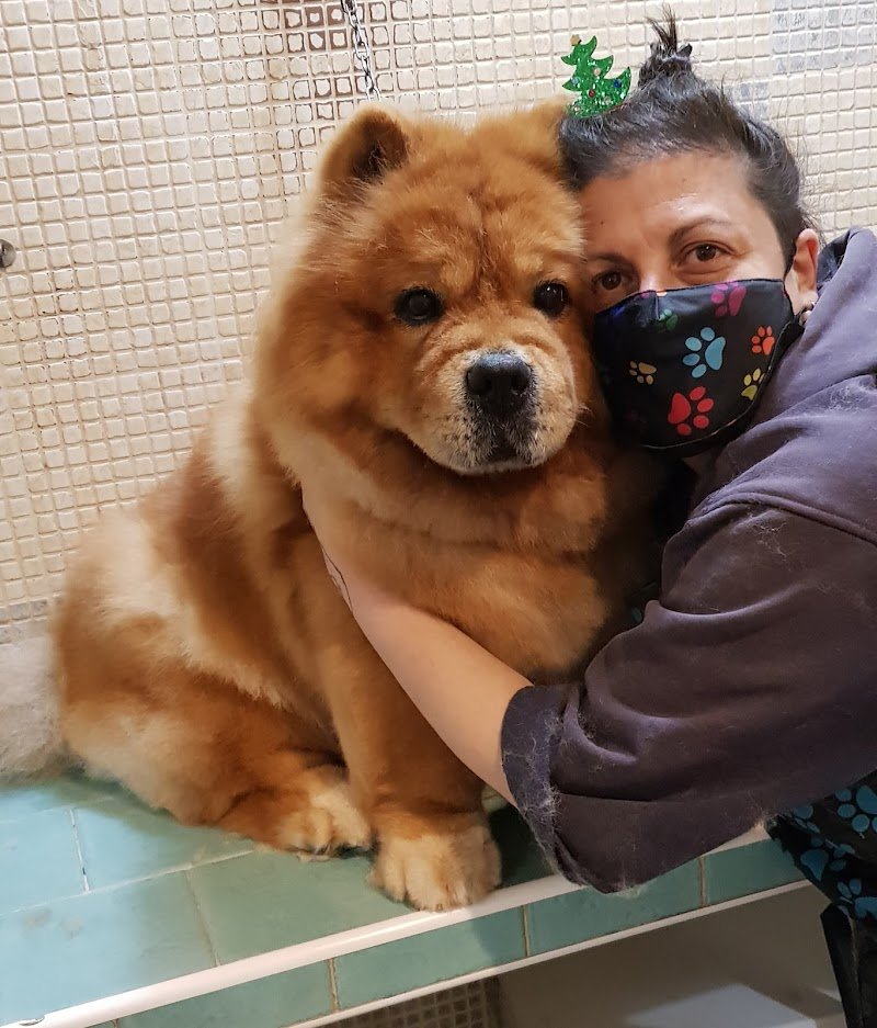 Impronte Toilette SNC - Foto 4