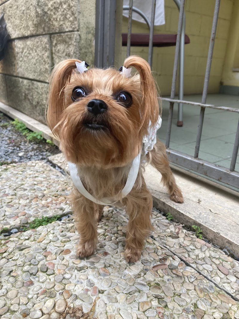 Impronte Toilette SNC - Foto 5