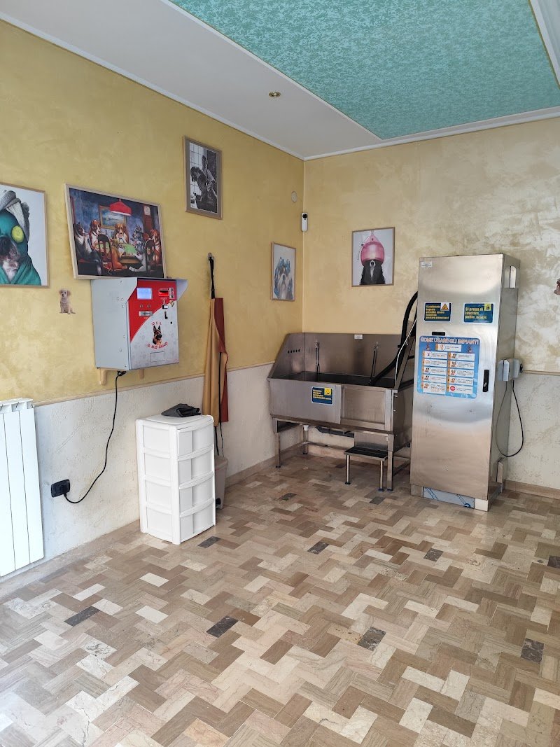 Io e il mio amico toelettatura-lavaggio cani self service - Foto 2