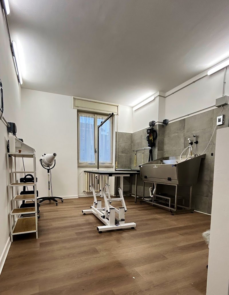 Io & Marley Toelettatura - Foto 2