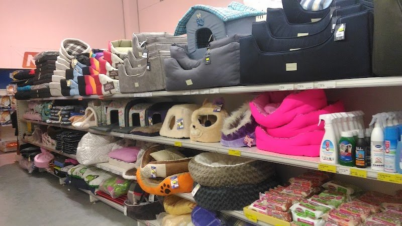 Iperpet Srl - Foto 4