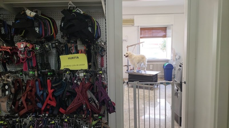 Iperzoo Francavilla al Mare - Foto 5