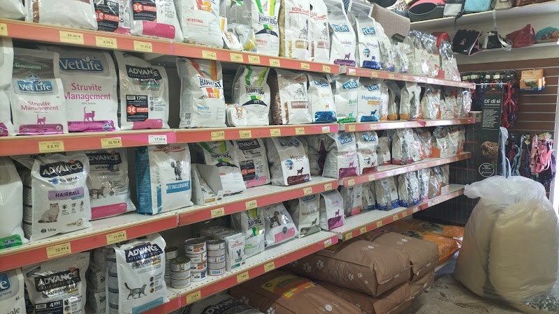 Iperzoo Francavilla al Mare - Foto 6