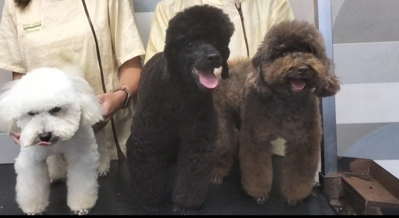 Istinto Animale - Foto 1