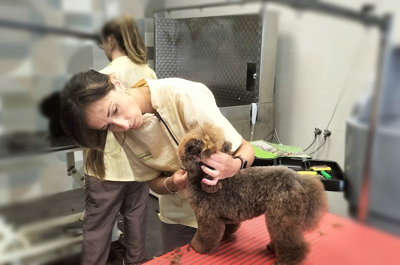 Istinto Animale - Foto 3