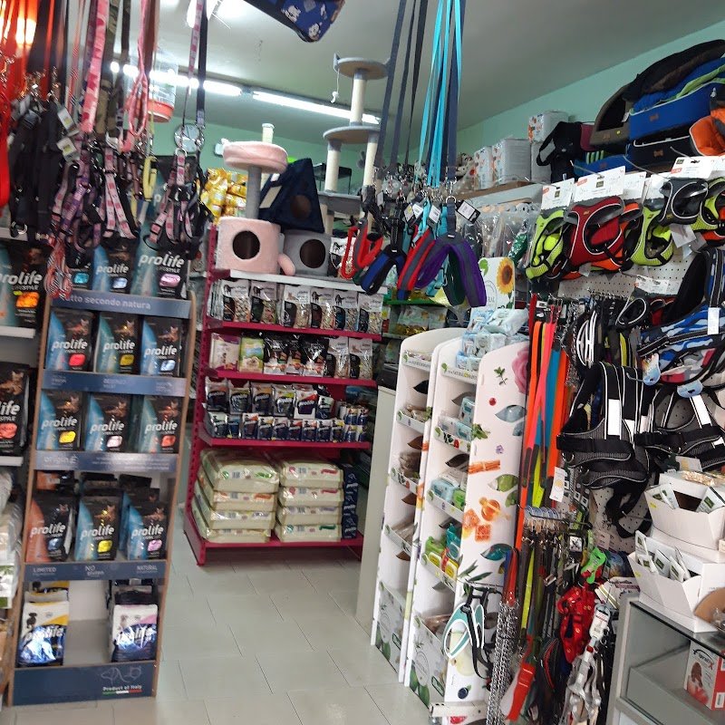 Italpets Giugliano - Foto 2