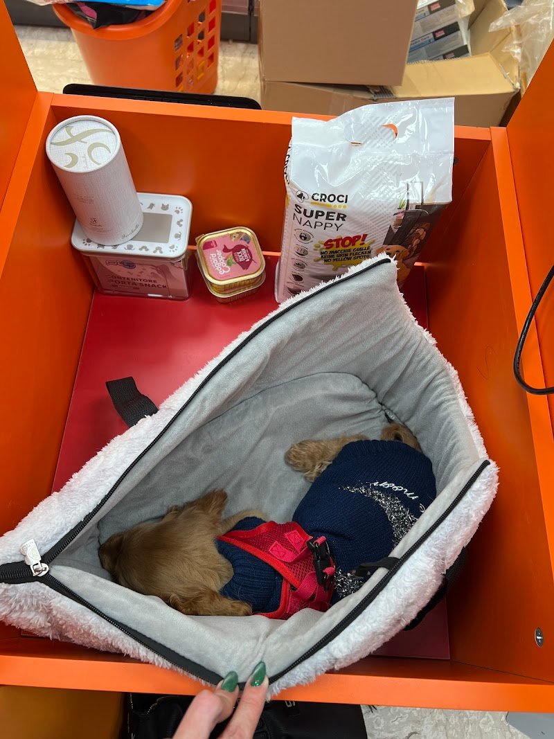 Joe Zampetti by Isola dei Tesori - Bitonto - Foto 2