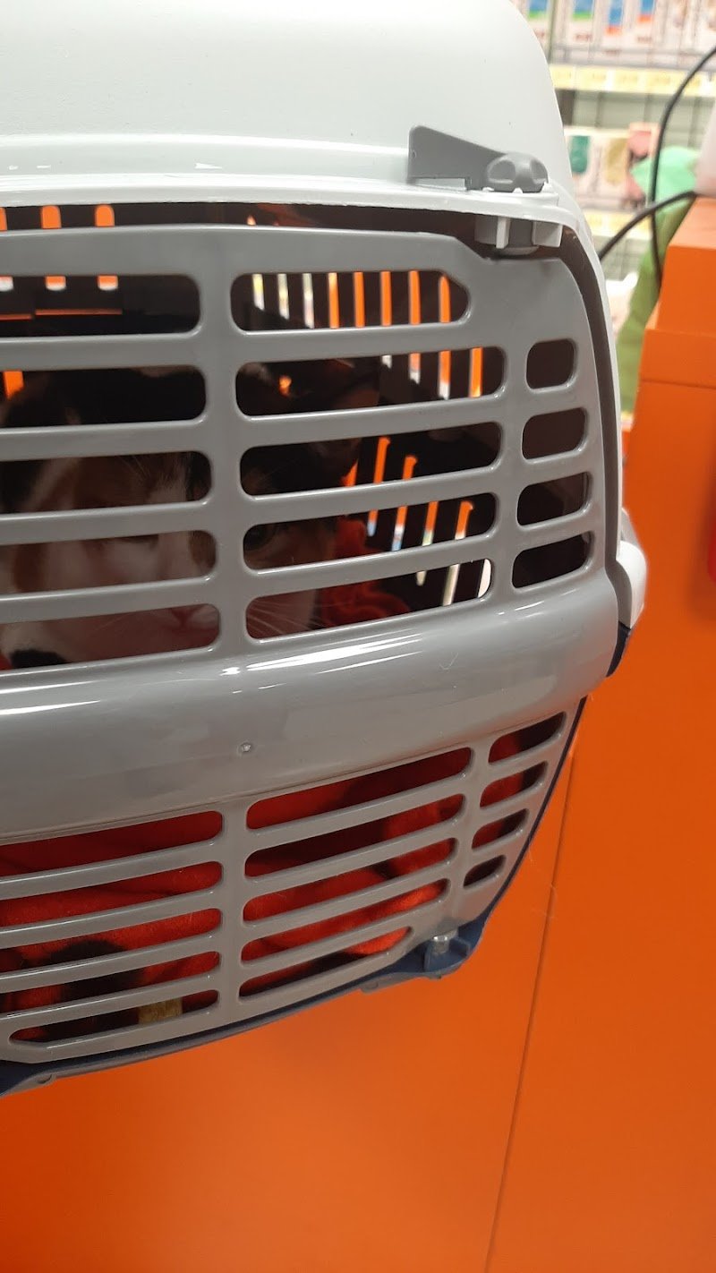 Joe Zampetti by Isola dei Tesori - Bitonto - Foto 4