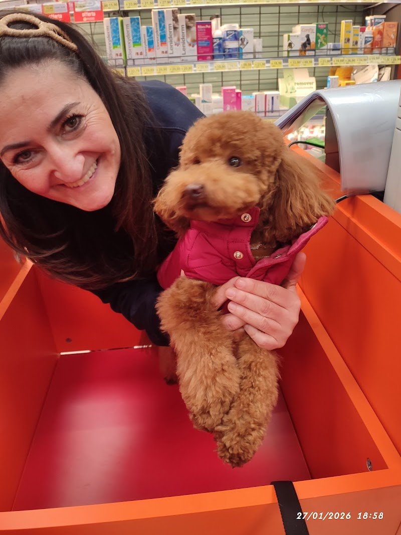 Joe Zampetti by Isola dei Tesori - Bitonto - Foto 6