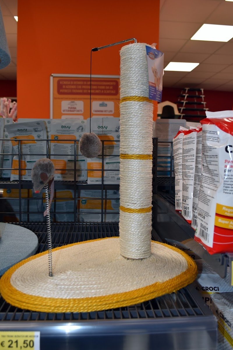 Joe Zampetti by Isola dei Tesori - Lecce (Via Benedetto Croce) - Foto 3