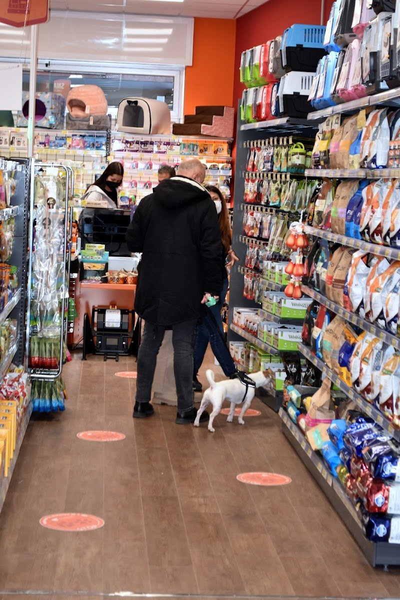 Joe Zampetti by Isola dei Tesori - Lecce (Via Benedetto Croce) - Foto 4