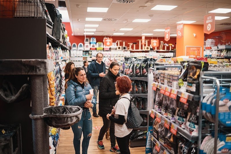 Joe Zampetti By Isola Dei Tesori - Lecce (Viale Marche) - Foto 6