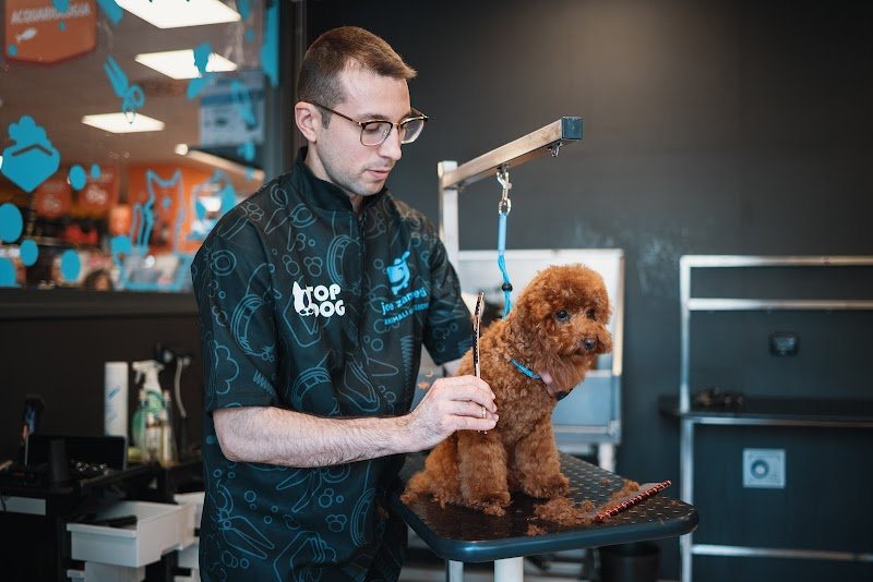 Joe Zampetti By Isola Dei Tesori - Lecce (Viale Marche) - Foto 5