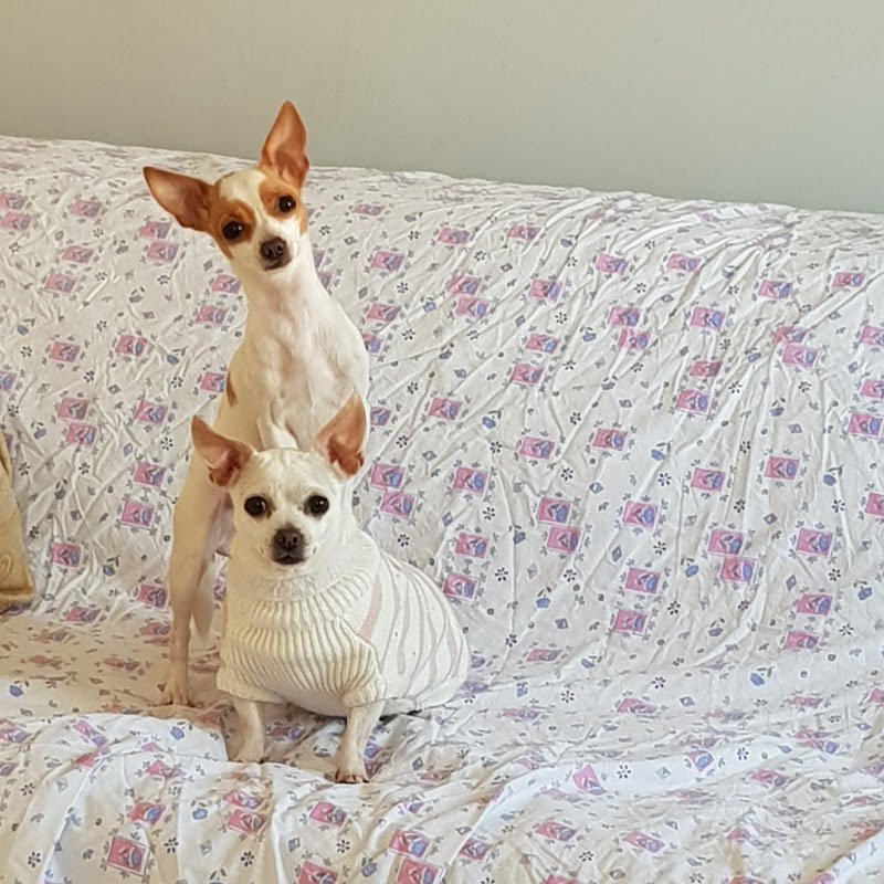 Joe Zampetti by Isola dei Tesori - Molfetta - Foto 3