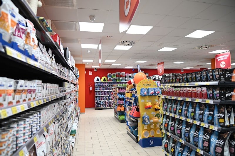 Joe Zampetti by Isola dei Tesori - Molfetta - Foto 4