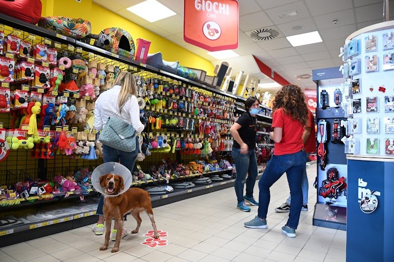 Joe Zampetti by Isola dei Tesori - Molfetta - Foto 5