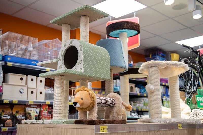 Joe Zampetti by Isola dei Tesori - Trani - Foto 2