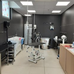 Joe Zampetti Toelettatura & Pet Spa by Zampa d'autore - Foto 4