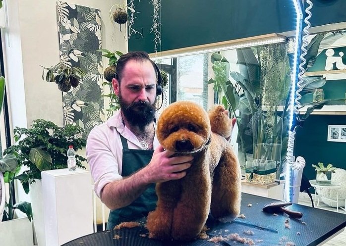 Jordan toelettatura & scultura - Foto 3